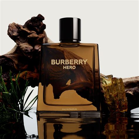 burberry hero eau de parfum notes|Burberry Hero for men price.